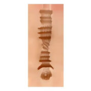 MASTURBADOR EDITH VAGINA SHAPE POCKET PUSSY EN SEXSHOP LINCE (2) MASTURBADOR EDITH VAGINA SHAPE POCKET PUSSY EN SEXSHOP LINCE (2)